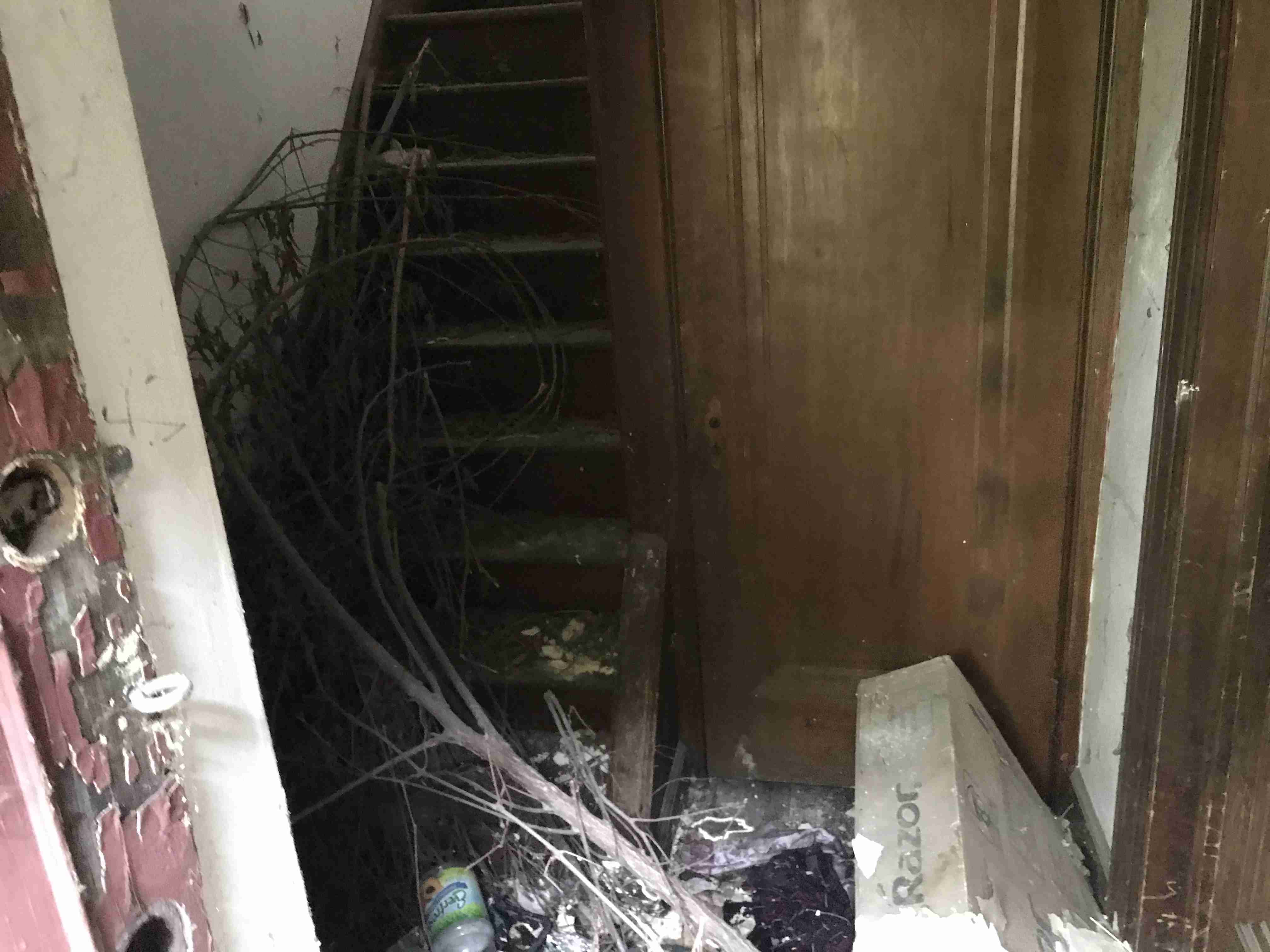 Photo Sep 10, 2 10 57 PM.jpg